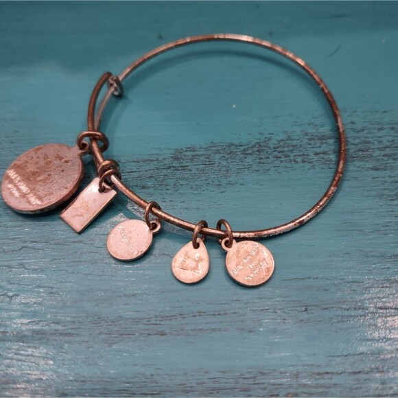 RHTF Alex and Ani Horseshoe Charm Bracelet adjustable Bangle - Picture 5 of 5
